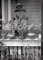 flowerfrontporch19.jpg